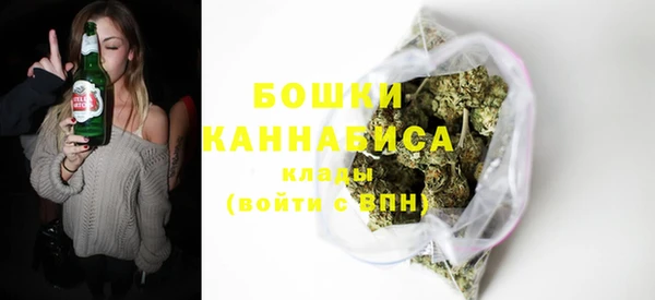 бошки Надым