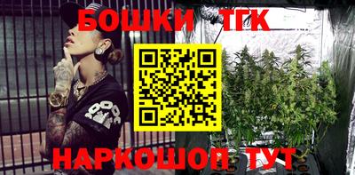 гашик Донской