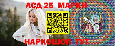 стафф Дубна