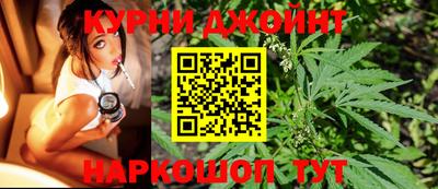 гашик Донской