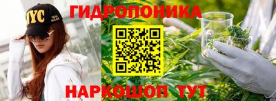 стафф Дубна