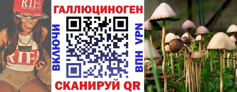 кракен ТОР Нефтекумск Галлюциногенные грибы мицелий
