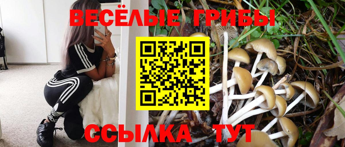 Нефтекумск  Псилоцибиновые грибы мухоморы  Вход с VPN 