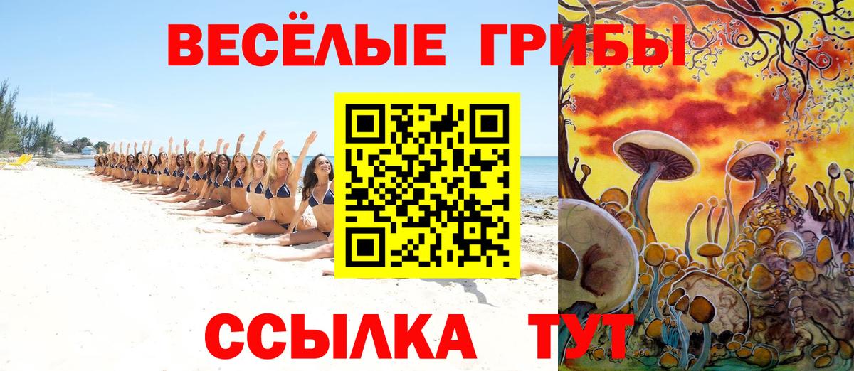 Галлюциногенные грибы Psilocybine cubensis Нефтекумск