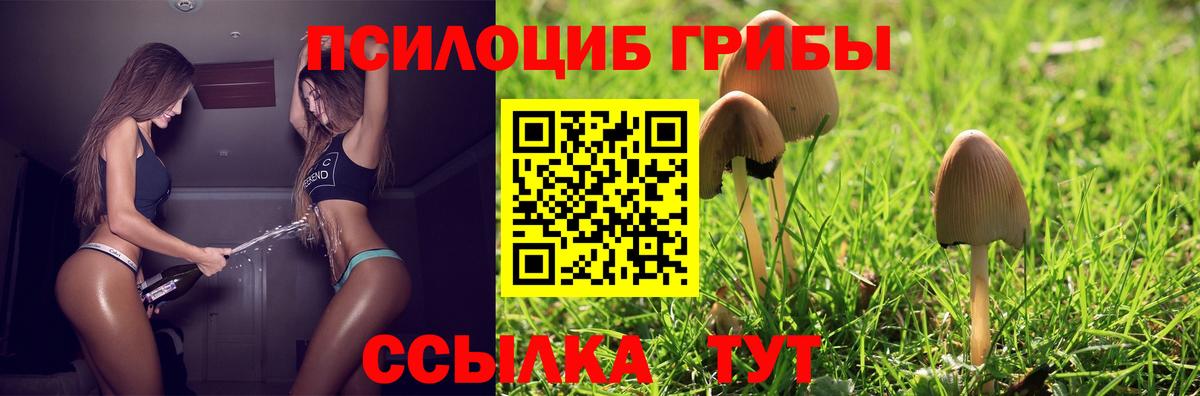 Галлюциногенные грибы Magic Shrooms Нефтекумск