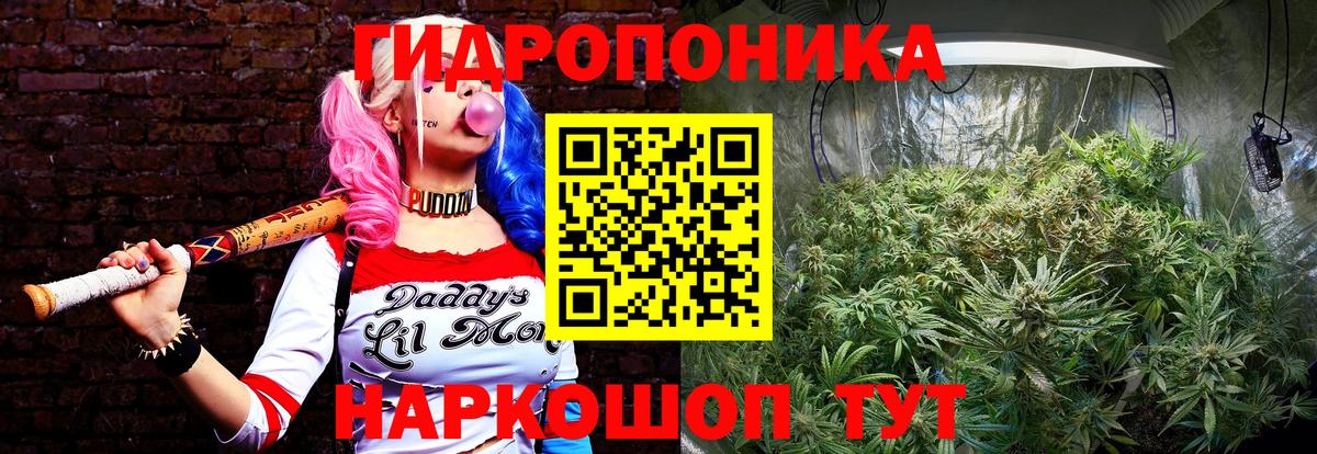Бошки Шишки Ganja Нефтекумск